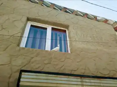 Мариами - 0