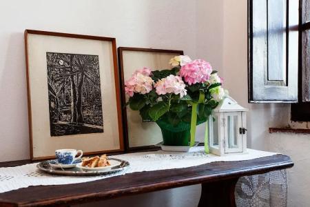 Podere Terreno alla via della volpaia - 12