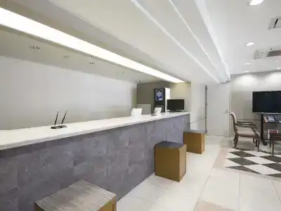 Ace Inn Matsumoto - 2