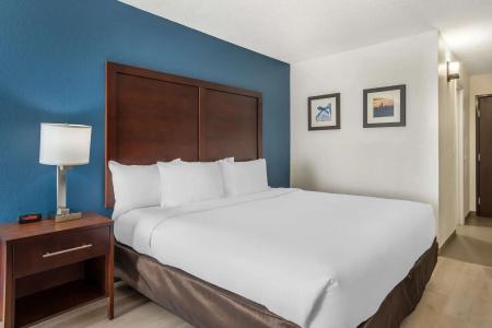 Comfort Inn Charlotte Airport Uptown - 57