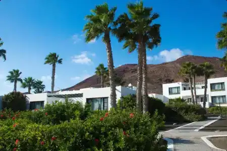 Palmeras Garden - 287