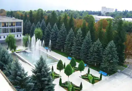 Голубые ели - 8