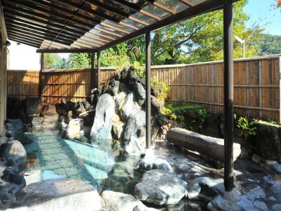 Shuzenji Onsen Takitei - 17