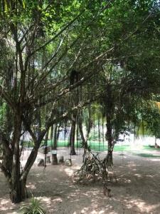 Harmony Beach Bungalows - 23
