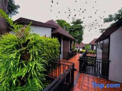 The Cliff Elegance Resort - 53