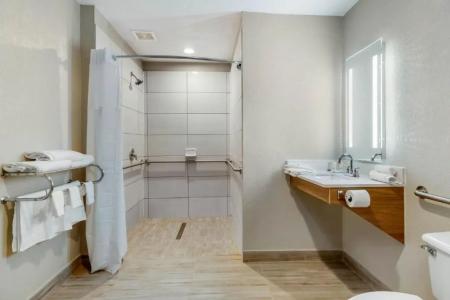 Quality Inn Downtown - near Market Square - 24