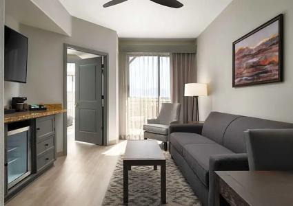 Embassy Suites Tucson - Paloma Village - 50