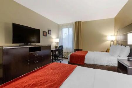 Comfort Inn - 51