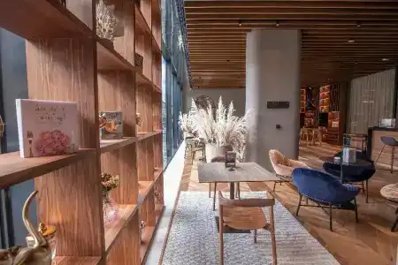 Mercure - 21