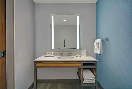 Hilton Garden Inn Houston Medical Center, Tx - 68