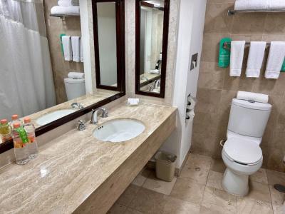 Holiday Inn Merida, An Ihg - 57