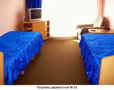 Гвоздика - 10