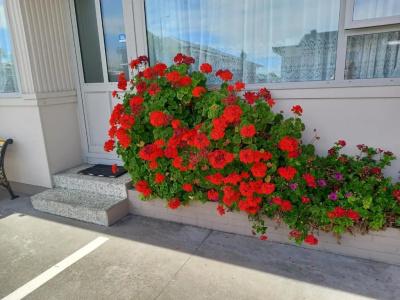 Comfort Inn Tayesta - 86