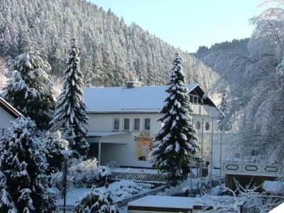 Altes Doktorhaus - Garni - 28