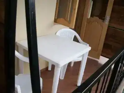 Magnolia Agmashenebeli - 2