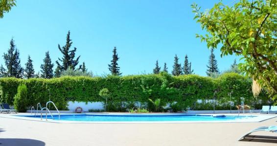 Porcel Alixares - 22
