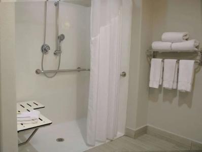 Comfort Inn & Suites Dallas Medical-Market Center - 36