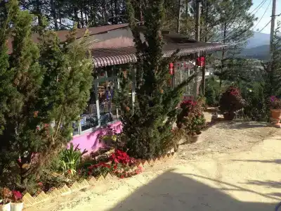 Khoa Nguyễn - 12