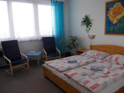 Milotel - 11