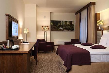 Mercure Krynica Zdrój Resort&Spa - 52