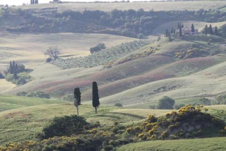 Agriturismo Cantagalli - 52