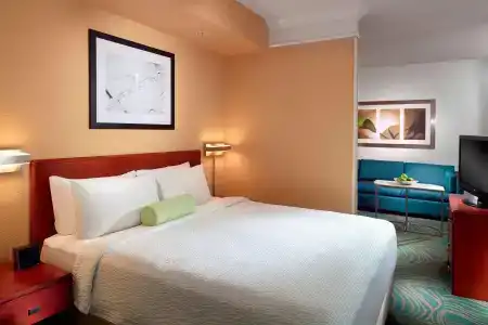 SpringHill Suites by Marriott Atlanta Buckhead - 24