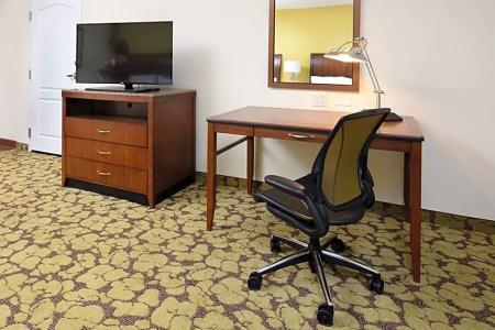 Hilton Garden Inn Airport - 66
