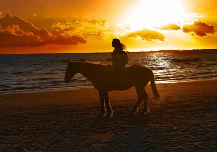 Aquarius On The Beach - 16