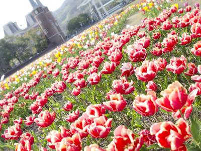 Watermark Nagasaki Huis Ten Bosch - 18