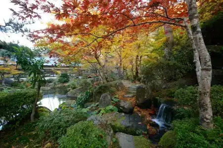 Sansuiso Tsuchiyu Spa - 8