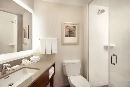 Hilton Garden Inn Long Island City - 8