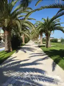 La Perla Preziosa - 9