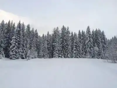 La Ferme du Golf - 16