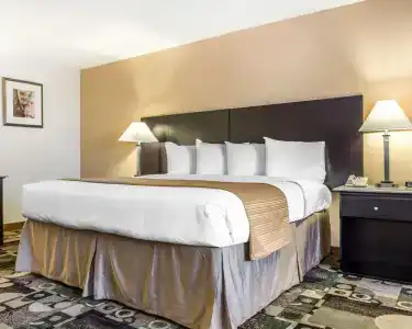 Quality Inn & Suites Coliseum - 2