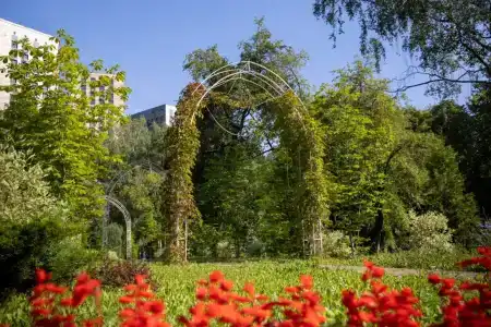 Зеленая роща - 32