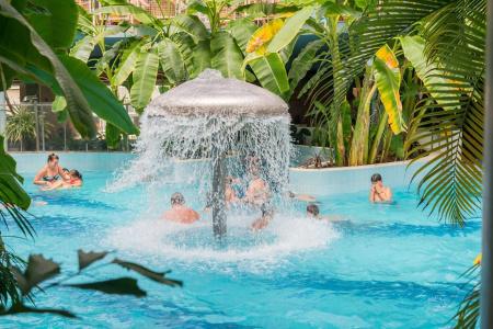 Aquaticum Debrecen Termal & Wellness - 17
