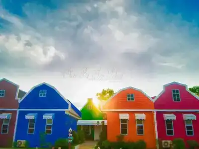 Color Ville Sha Certified - 14