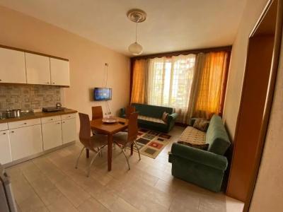 Vila Topciu - 5