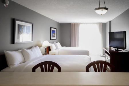 Faubourg Centre-Ville Downtown - 34