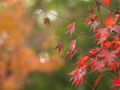 Ryokan Genhouin - 17