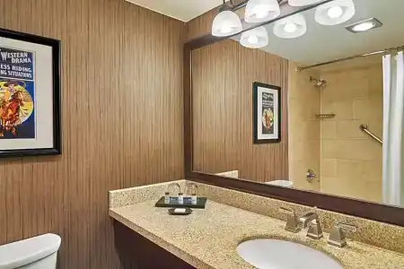 Sheraton North Houston at George Bush Intercontinental - 54
