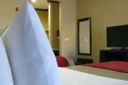 Quality Inn & Suites - 36