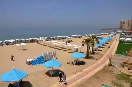 Al Raya - 4