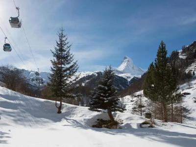 Plateau Rosa - 33
