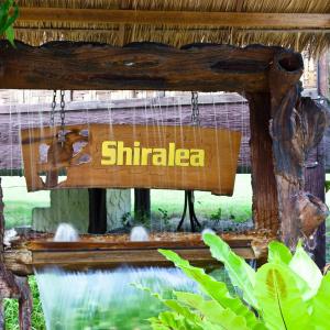 Shiralea Island Resort - 50