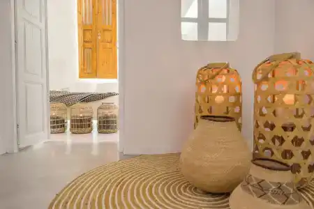 Canvas Suites - 12