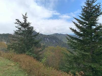 Route 19 Inn - 9