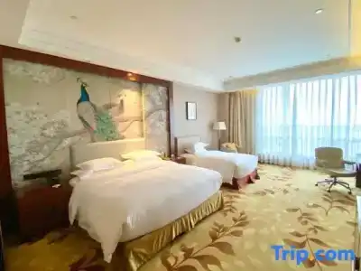 Jinke Grand - 10