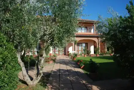 Borgo degli Olivi - 13