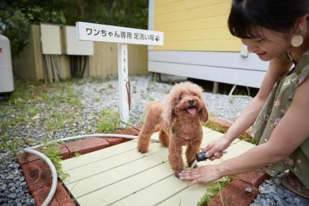 The Pool Resort Okinawa - 255